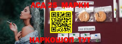 скорость Кимры