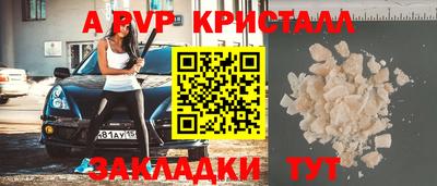 хмурый Кингисепп