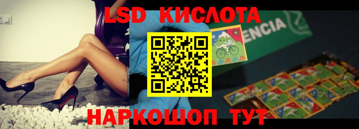 Псилоцибиновые грибы Кемерово