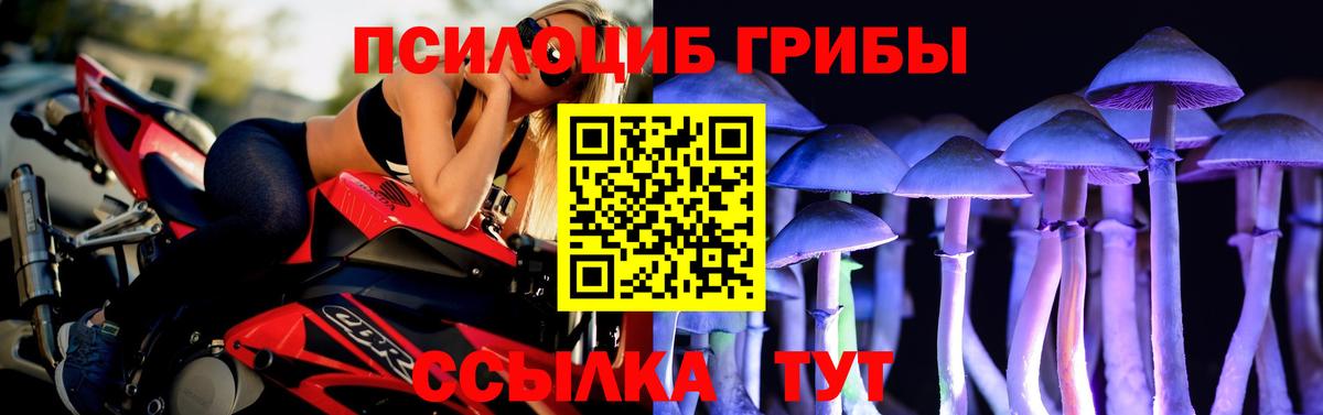 Кемерово  Псилоцибиновые грибы ЛСД  где продают   Вход с VPN 